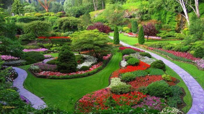 Десять шагов к созданию прекрасного сада | Мастер-класс | Международная Школа Дизайна
