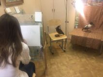 30.01.19. Занятия по графике