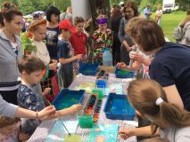 3.06.2019 Рисование на воде в технике эбру «Летний луг»