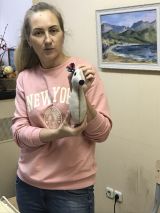 17.11.2019 мастер класс по изготовлению мягкой игрушки