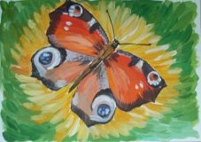 28.07.18. Занятия по рисованию гуашью "Бабочка"