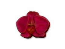 Пластиковая форма для мыла Цветок орхидеи