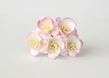 Цветы вишни - Белый+св.розовый  519 1шт №52