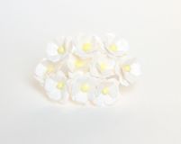 Цветы вишни средние - Белые 152  1шт №128