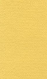 Бумага для пастели Lana 42*29,7см 160г/м2 Светло-желтый 1л