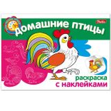 Книжка-раскраска HATBER с наклейками, А5 4л, Мои первые уроки, Домашние птицы
