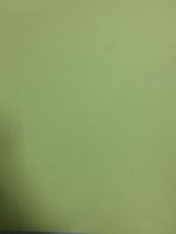 Бумага д/скрапбукинга Mr.Painter 30,5*30,5см 44 Фисташковое мороженое (бл. зеленый)