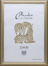 21х30 Ф/рамка пластиковая 309 (3904) золото