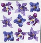 Пленка с печатью Sospeso Traspsrente Gentian