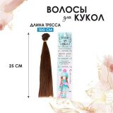 Волосы - тресс для кукол "Прямые" 25*100см №6
