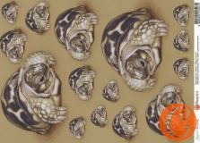 Декупажная карта Чип Арт А4 Черепашата