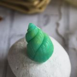 Силиконовый молд Арт.1005 Ракушка коническая