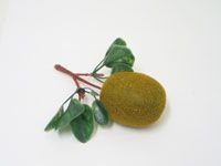 Киви, цвет коричневый, 12см