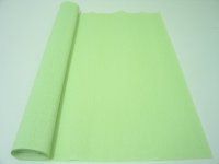 Бумага гофрированная Cartotecnica Rossi 50*250см 180 г/м2 566 Светло-салатовый