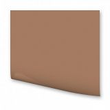 Бумага цветная Folia 50*70см 300 гр/м2 Коричневый светлый 1л 