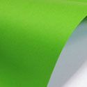 Бумага PAPERLINE PARROT 230 245 г/м2 25*35 см 