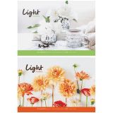 Альбом для рисования ArtSpace "Стиль. Light moments" А4, на склейке 20л