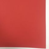 Бумага для пастели Палаццо 500х700 Red (красный) 160г