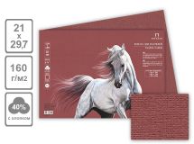 Бумага для пастели Палаццо 210х297 Beaujolais (божоле)  160гр 1л