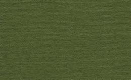 Бумага для пастели Палаццо 500х700 Dark jungl (темные джунгли) 160г