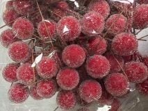 Ягодки на веточке сахарные, 1см красные №24 SF-7799 1шт