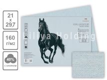 Бумага для пастели Палаццо 210х297 Bluemarine (голубой) 160гр 1л