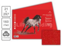 Бумага для пастели Палаццо 210х297 Red (красный) 160гр 1л