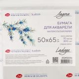 Бумага для акварели "Ладога", 300 г/м2, 50х65 см, 100% хлопок, среднее зерно, 1л