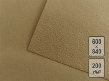 Бумага Лилия Холдинг Палаццо 60*84см 200гр Светло-коричневая